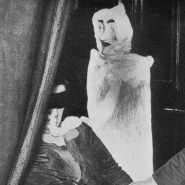 The real threat to mediumship isn’t sceptics — it’s other mediums | Beyond Mediumship