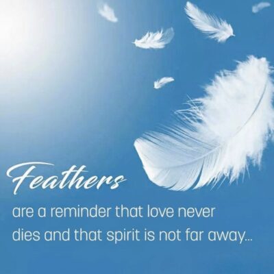 Spirits and feathers: the whisper of the other world | Beyond Mediumship